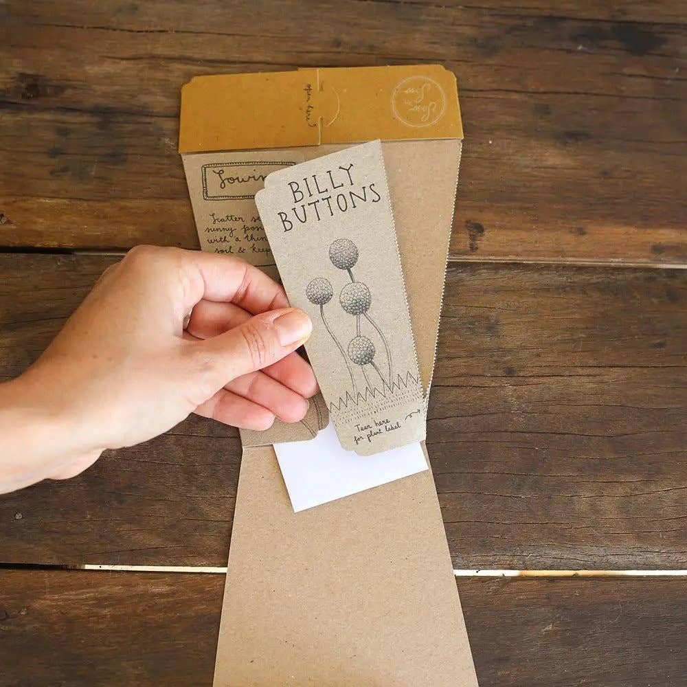 Billy Buttons Gift of Seeds (Australia Only)