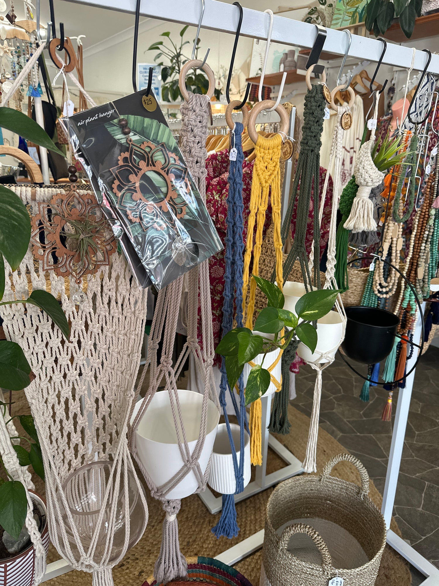 Plants & Hangers