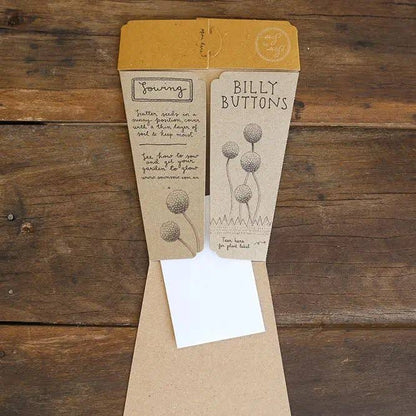 Billy Buttons Gift of Seeds (Australia Only)