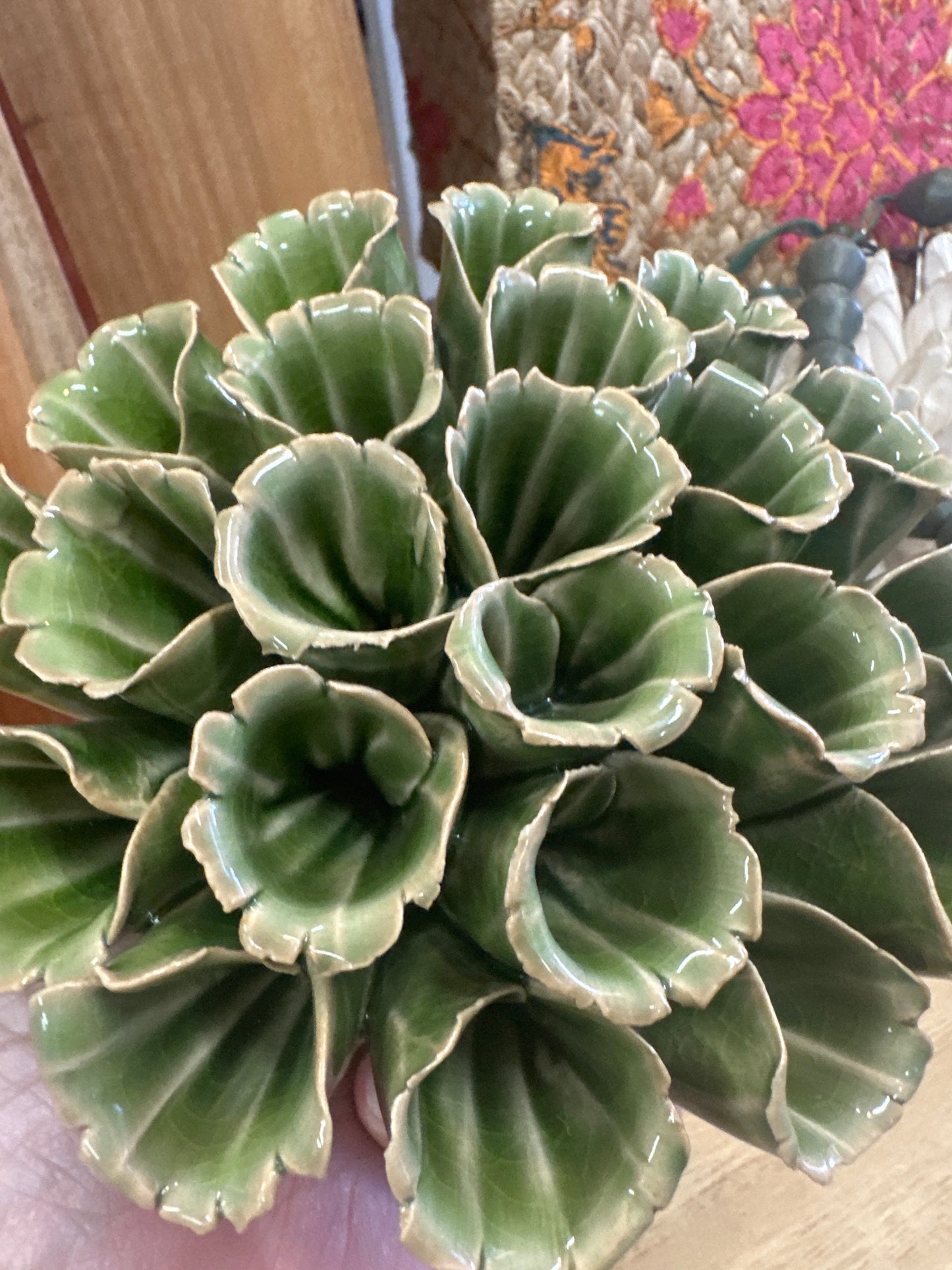 Ceramic flower succulent