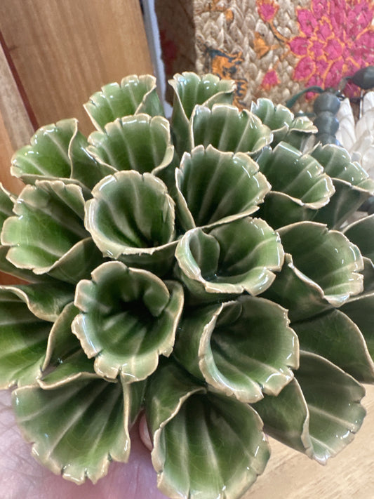 Ceramic flower succulent