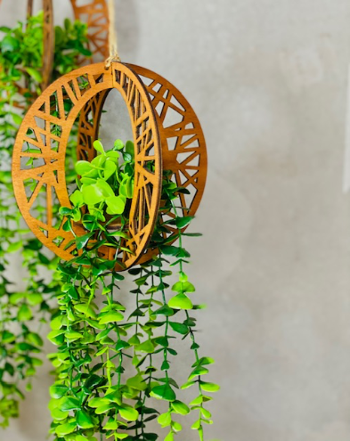 Orb plant hanger -large
