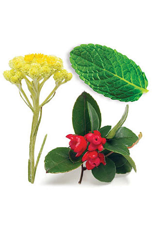 Ice Blue + Copiaba stick